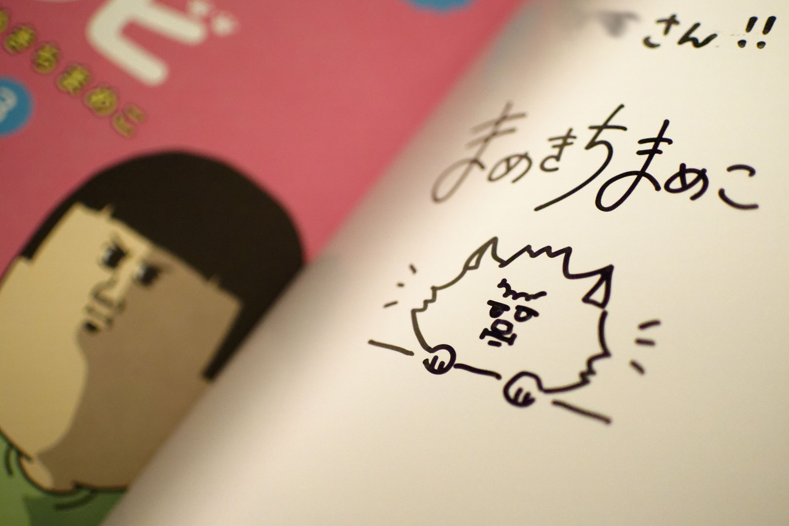 まめきちまめこ先生 サイン色紙